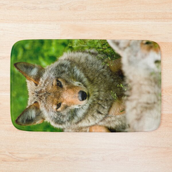 Item preview, Coyotes designed and sold by Michael Cummings.