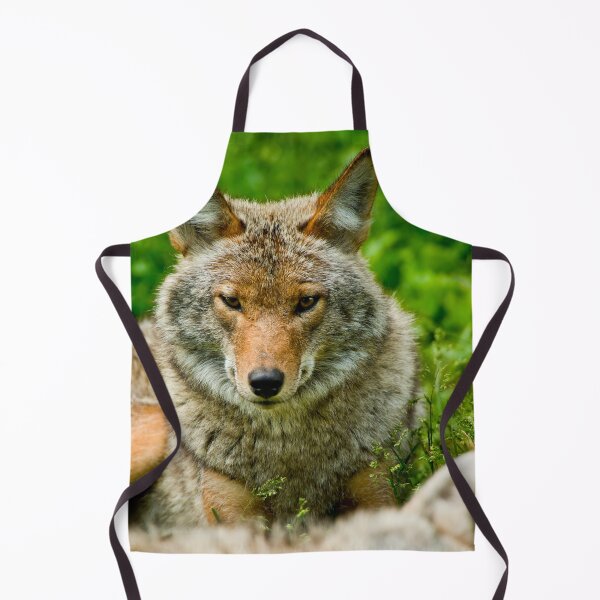 Item preview, Coyotes designed and sold by Michael Cummings.