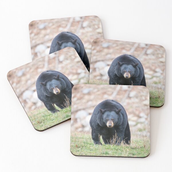 Item preview, Black Bear designed and sold by Michael Cummings.