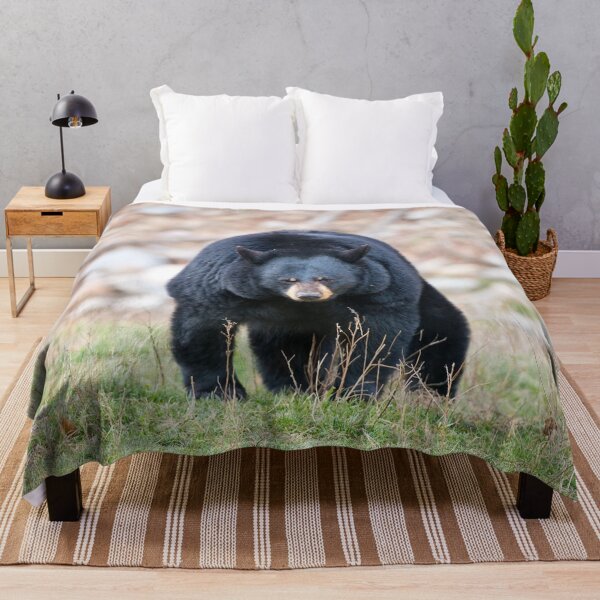 Item preview, Black Bear designed and sold by Michael Cummings.