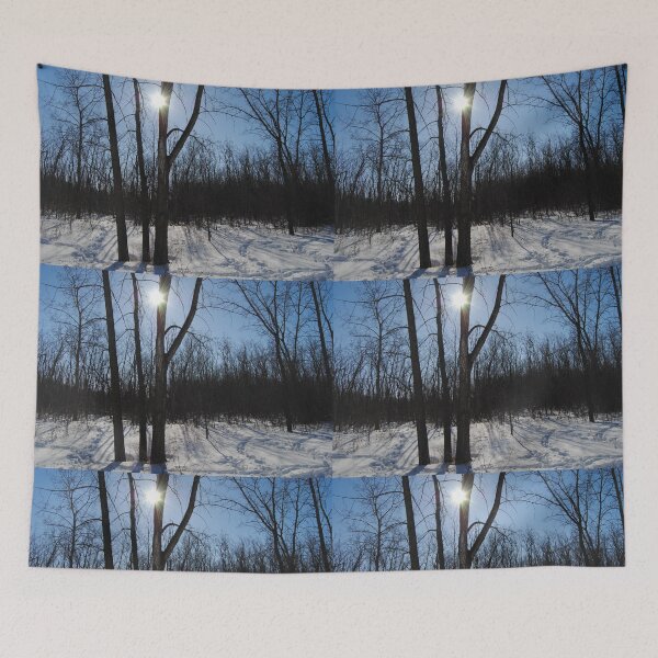 Item preview, Antiguas tierras de Parker - Invierno designed and sold by Connor Thomson.