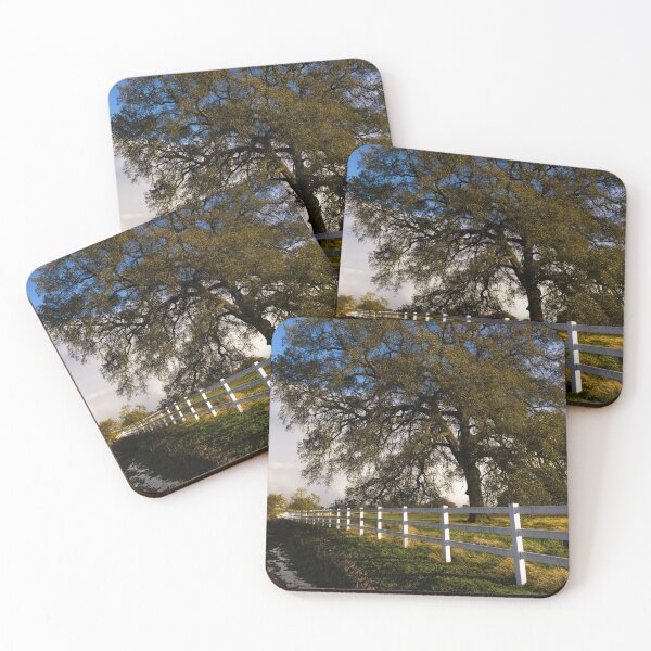 Item preview, Rainbow and complex clouds form after many inches of rain over several days near Stockton, California designed and sold by OrcaNature.