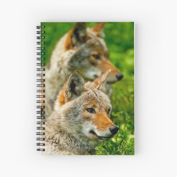 Item preview, Coyotes designed and sold by Michael Cummings.