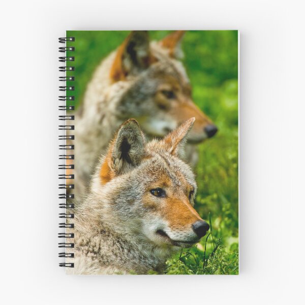Item preview, Coyotes designed and sold by Michael Cummings.