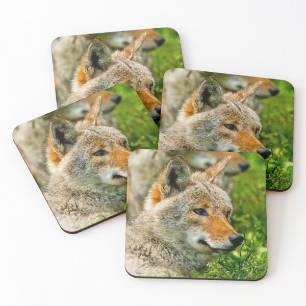 Item preview, Coyotes designed and sold by Michael Cummings.