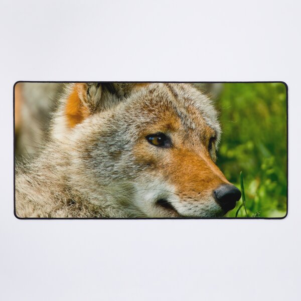 Item preview, Coyotes designed and sold by Michael Cummings.