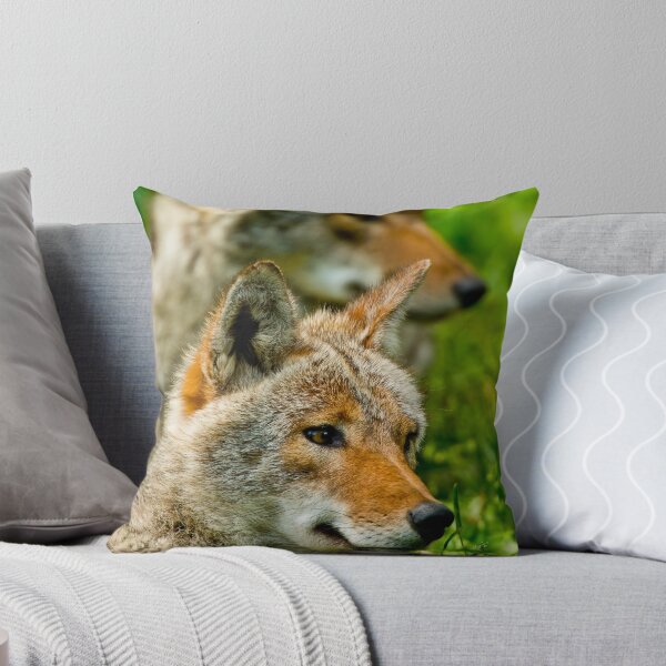 Item preview, Coyotes designed and sold by Michael Cummings.