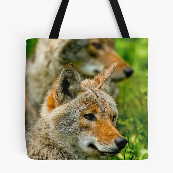 Item preview, Coyotes designed and sold by Michael Cummings.