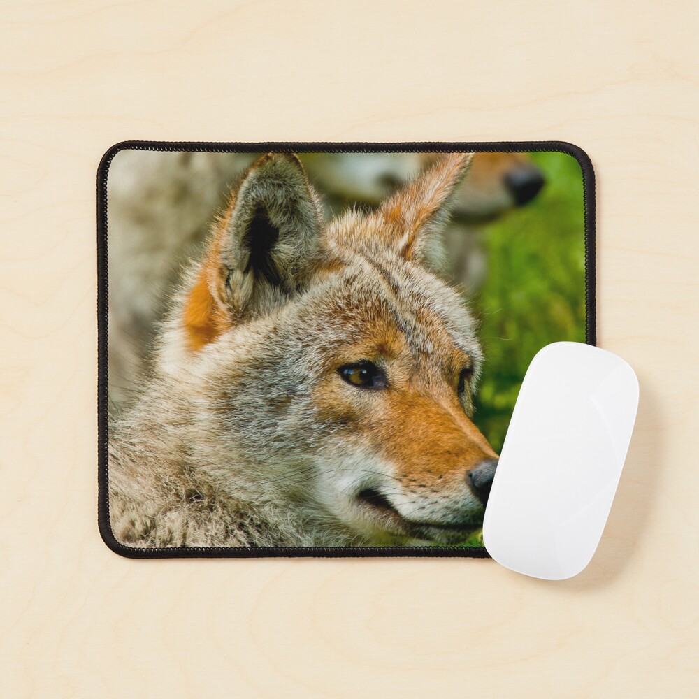Item preview, Mouse Pad designed and sold by jaydee1400.