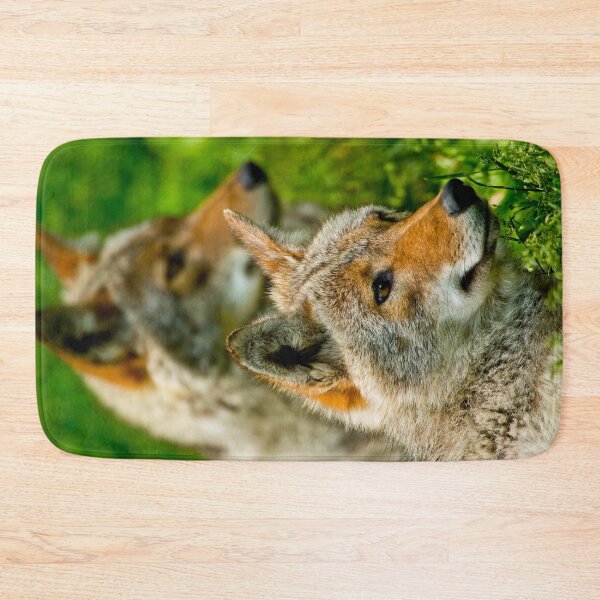 Item preview, Coyotes designed and sold by Michael Cummings.