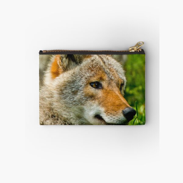 Item preview, Coyotes designed and sold by Michael Cummings.