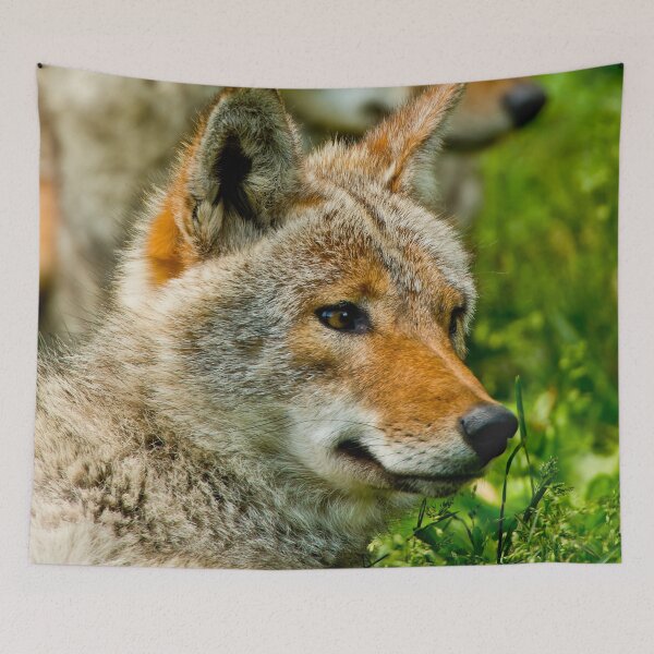 Item preview, Coyotes designed and sold by Michael Cummings.