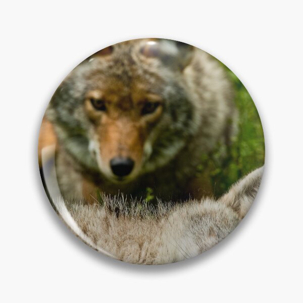 Item preview, Coyotes designed and sold by Michael Cummings.