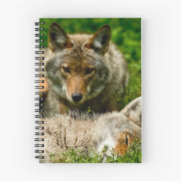 Item preview, Coyotes designed and sold by Michael Cummings.