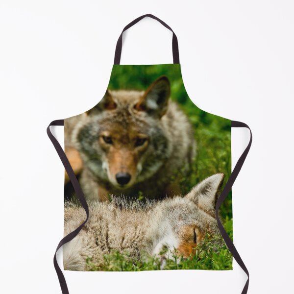 Item preview, Coyotes designed and sold by Michael Cummings.