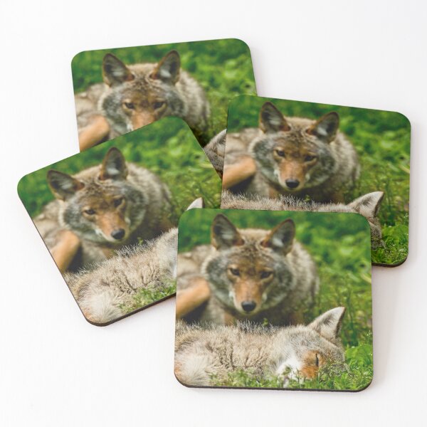 Item preview, Coyotes designed and sold by Michael Cummings.