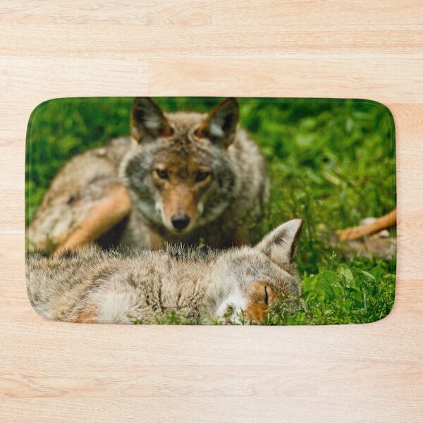 Item preview, Coyotes designed and sold by Michael Cummings.