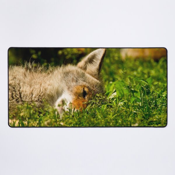 Item preview, Coyote designed and sold by Michael Cummings.