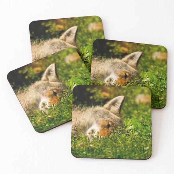 Item preview, Coyote designed and sold by Michael Cummings.