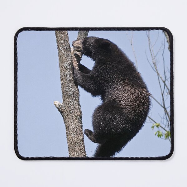 Item preview, Bear In Tree designed and sold by Michael Cummings.