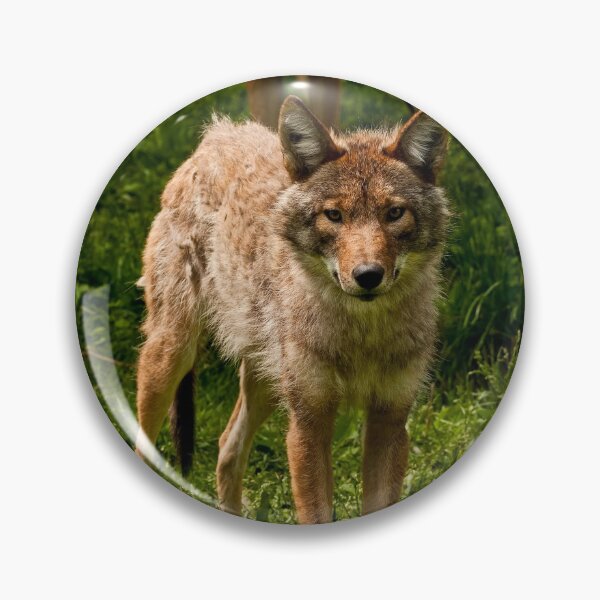 Item preview, Coyotes designed and sold by Michael Cummings.