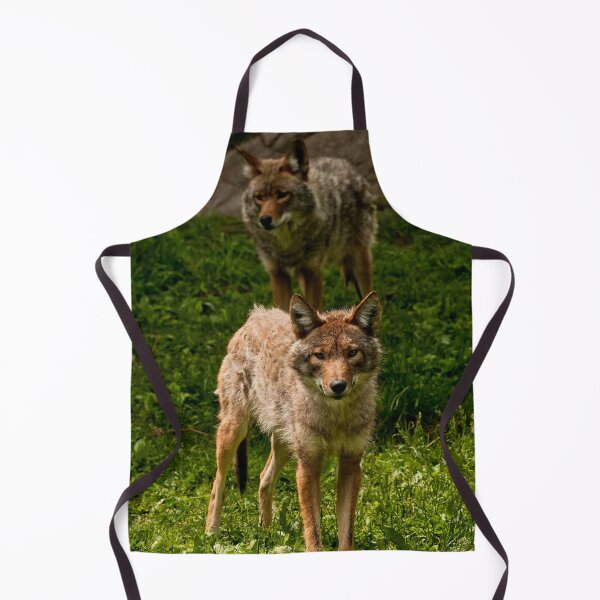 Item preview, Coyotes designed and sold by Michael Cummings.