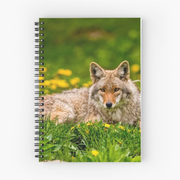 Item preview, Coyote designed and sold by Michael Cummings.