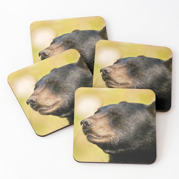 Item preview, Black Bear designed and sold by Michael Cummings.