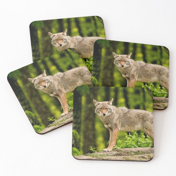 Item preview, Coyote designed and sold by Michael Cummings.
