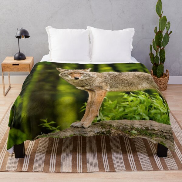 Item preview, Coyote designed and sold by Michael Cummings.