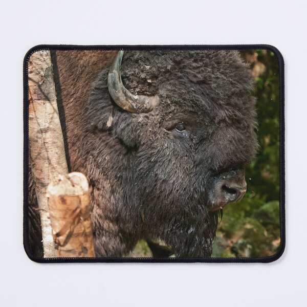 Item preview, Bison designed and sold by Michael Cummings.