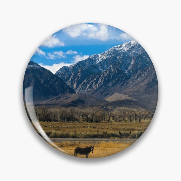Item preview, Horses grazing in a meadow between U.S. 395 and Lower Rock Creek Road north of Bishop in Mono County, California designed and sold by OrcaNature.