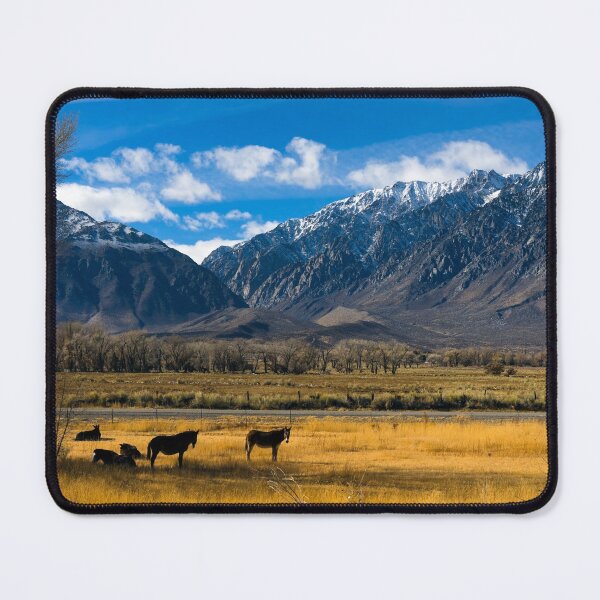 Item preview, Horses grazing in a meadow between U.S. 395 and Lower Rock Creek Road north of Bishop in Mono County, California designed and sold by OrcaNature.