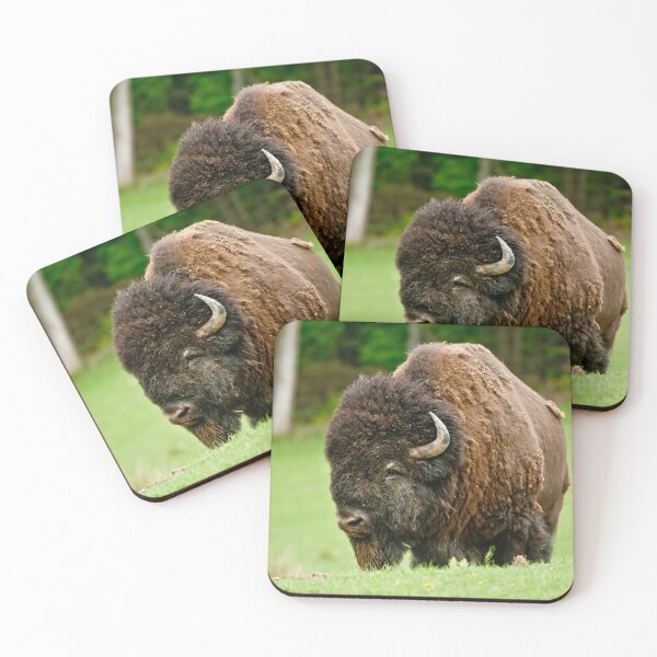 Item preview, Bison designed and sold by Michael Cummings.