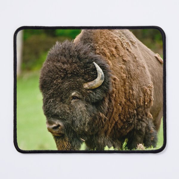 Item preview, Bison designed and sold by Michael Cummings.