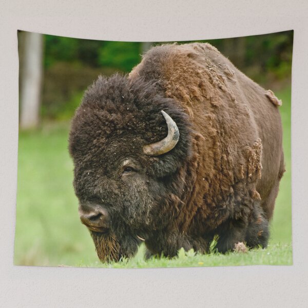 Item preview, Bison designed and sold by Michael Cummings.