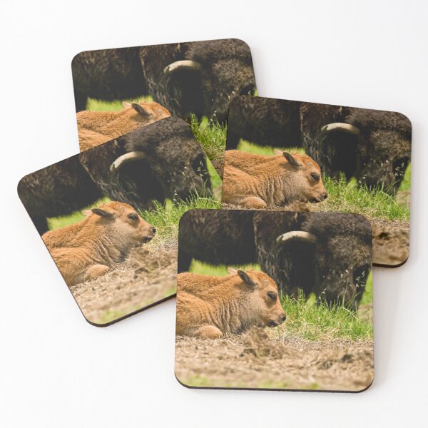Item preview, Bison And Calf designed and sold by Michael Cummings.