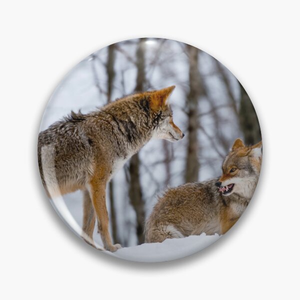 Item preview, Coyotes designed and sold by Michael Cummings.