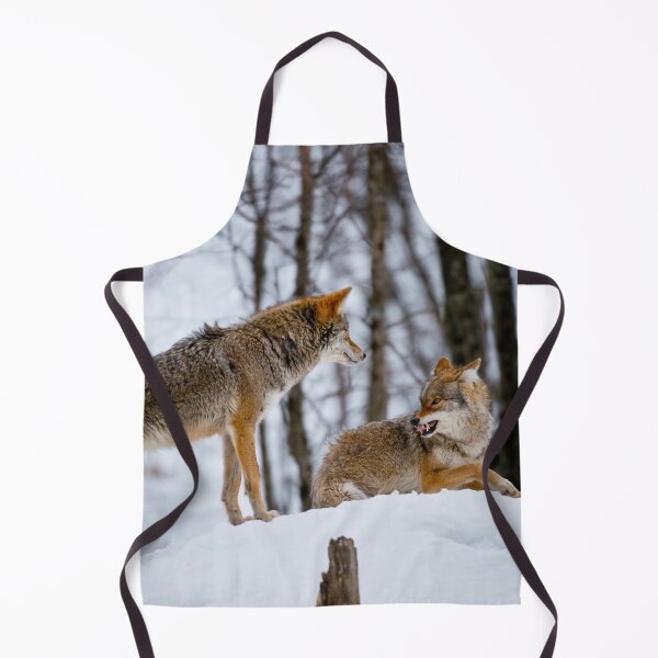Item preview, Coyotes designed and sold by Michael Cummings.