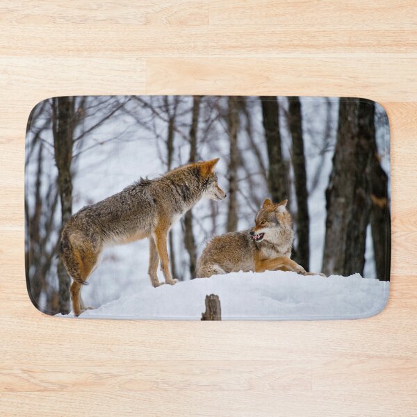 Item preview, Coyotes designed and sold by Michael Cummings.