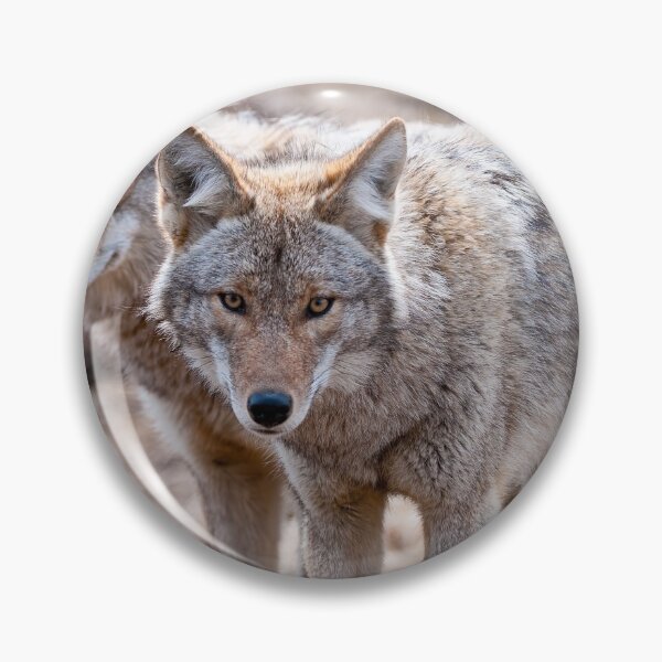 Item preview, Coyotes designed and sold by Michael Cummings.