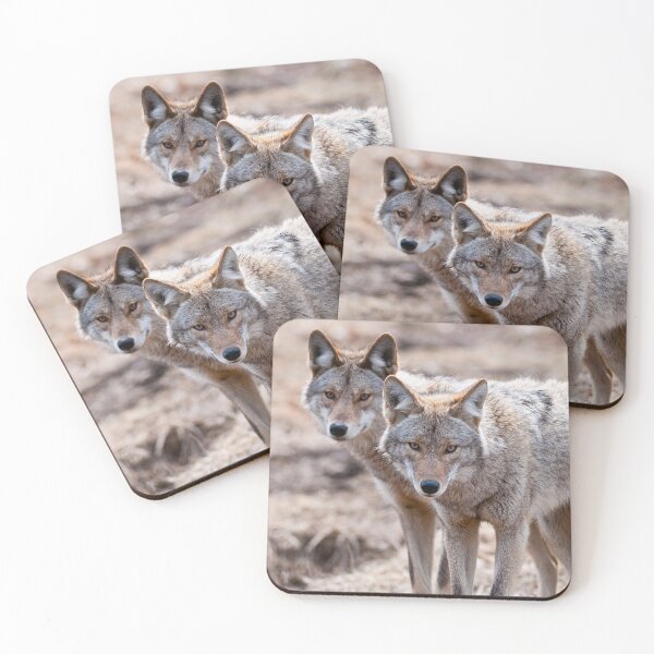 Item preview, Coyotes designed and sold by Michael Cummings.