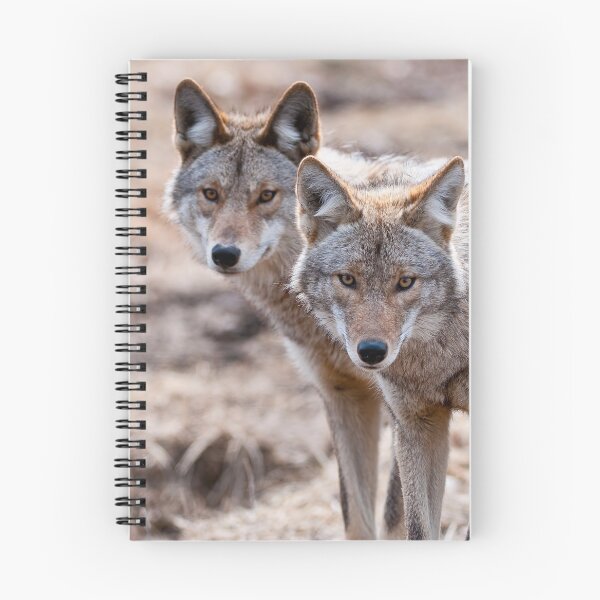 Item preview, Coyotes designed and sold by Michael Cummings.