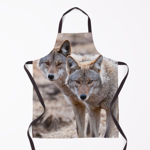 Item preview, Coyotes designed and sold by Michael Cummings.