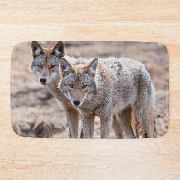 Item preview, Coyotes designed and sold by Michael Cummings.