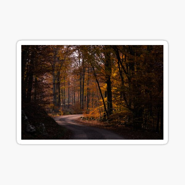 Scandinavian forest in Autumn Sticker