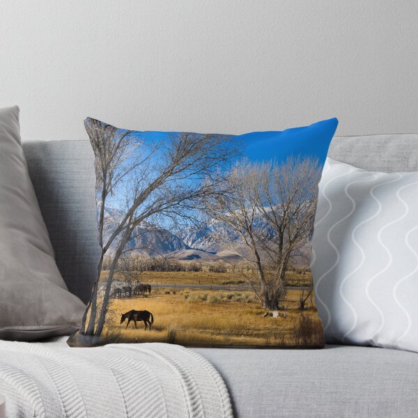 Item preview, Horses grazing in a meadow between U.S. 395 and Lower Rock Creek Road north of Bishop in Mono County, California designed and sold by OrcaNature.