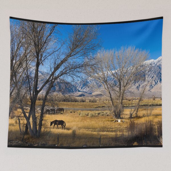 Item preview, Horses grazing in a meadow between U.S. 395 and Lower Rock Creek Road north of Bishop in Mono County, California designed and sold by OrcaNature.