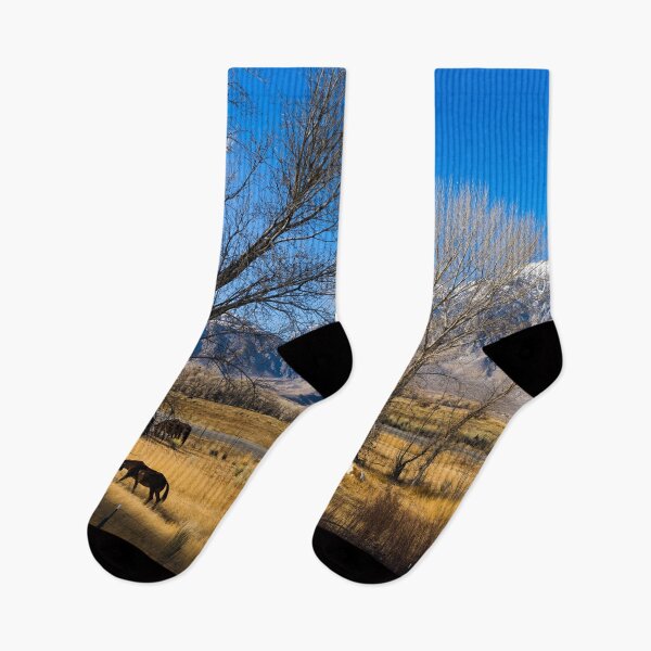Item preview, Horses grazing in a meadow between U.S. 395 and Lower Rock Creek Road north of Bishop in Mono County, California designed and sold by OrcaNature.