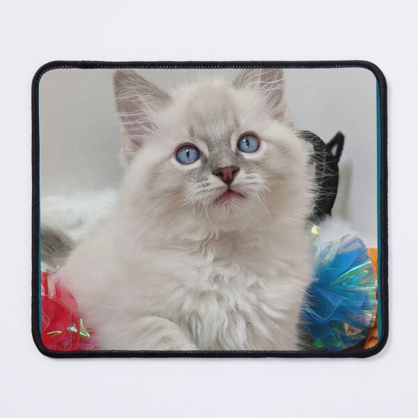Item preview, Lynx ragdoll kitten designed and sold by Fluffycat2020.